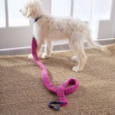 leashes