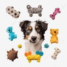 Pet Toys